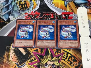 Tau Winona EXP2 2 Normal Set of 3 Tera...