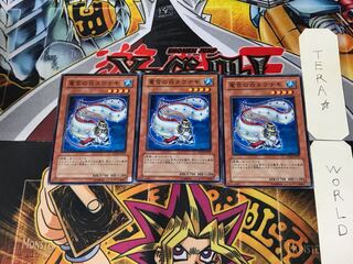 Tau Winona EXP2 3 Normal, set of 3 Tera.