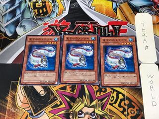 Tau Winona EXP2 4 Normal, set of 3 Tera.