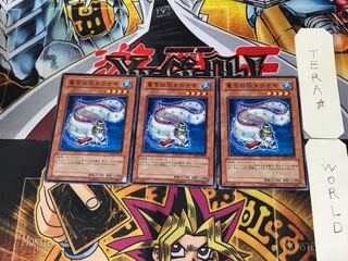 Tau Winona EXP2 5 Normal, set of 3 Tera.