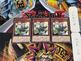 Possession Mounted - Laina MACR 1 Normal, set of 3 Tera.