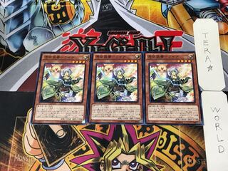 憑依装着-ライナ MACR 3 ノーマル 3枚セット てら