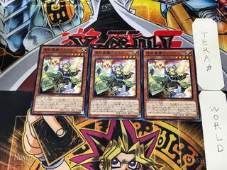 憑依装着-ライナ MACR 4 ノーマル 3枚セット てら