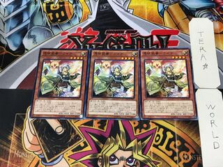 憑依装着-ライナ MACR 5 ノーマル 3枚セット てら