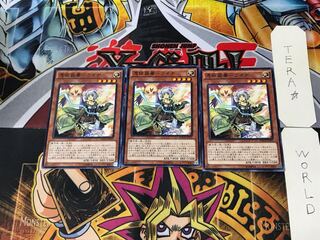 憑依装着-ライナ MACR 6 ノーマル 3枚セット てら