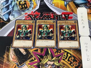 Celtic Guardian BE01 4 Normal, set of 3 Tera