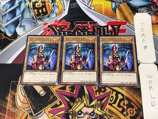 Queen's Knight WPP2 5 Normal, set of 3 Tera.