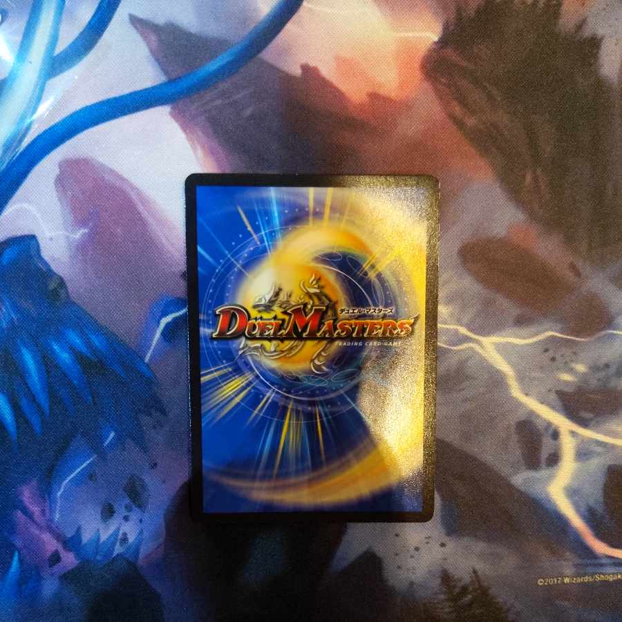 Gayojin SR S1/S10 1 piece 1枚