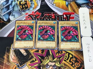 シーザリオン DL4 2 ノーマル 3枚セット てら