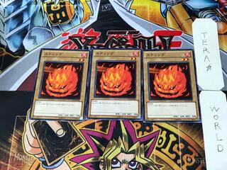 スティング TP13 1 ノーマル 3枚セット てら