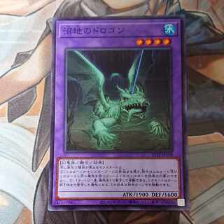 Mudragon of the Swamp