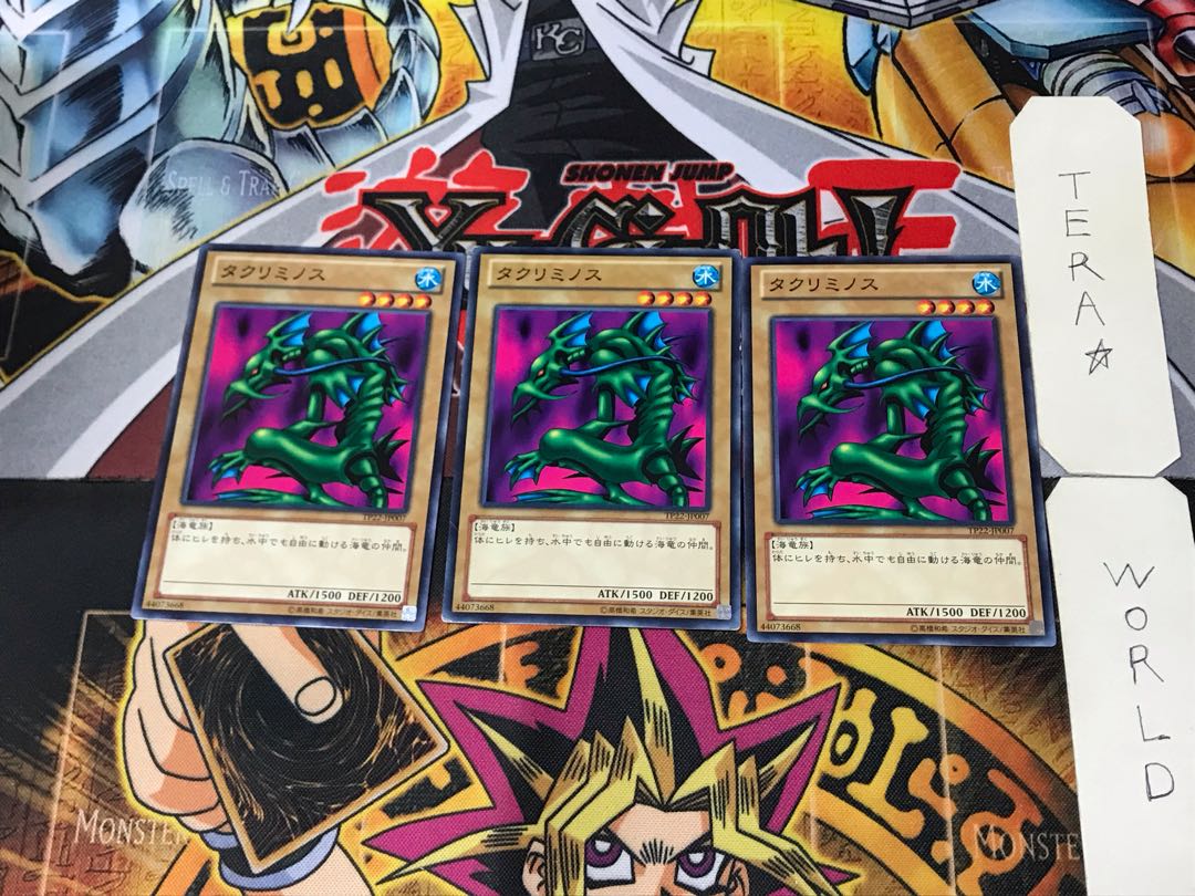 Takriminos TP22 2 Normal, set of 3 Tera