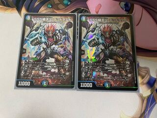 SSS class natural disaster Dead Damned 2/18