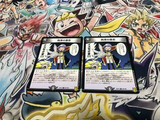 秩序の意志 R 65/100