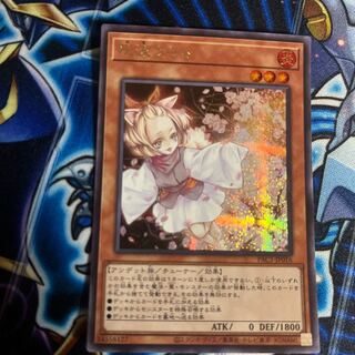 Ash Blossom & Joyous Spring Secret Rare JP016