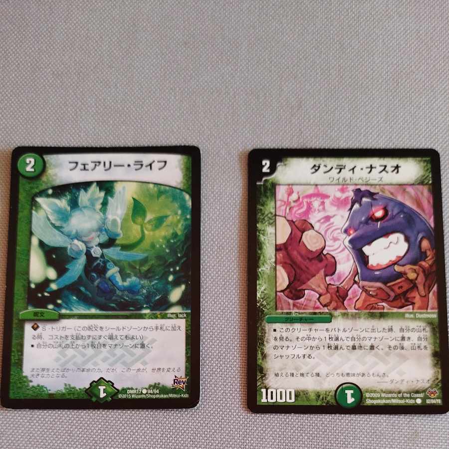 Dandy Naso C 82/84/Y8 1枚