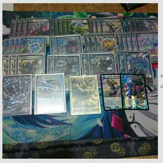 遺跡軸アナカラーシャコガイル