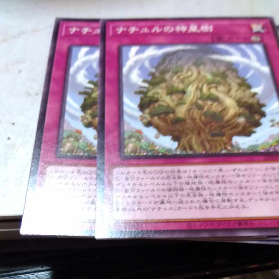 Naturia Sacred Tree Normal JP076