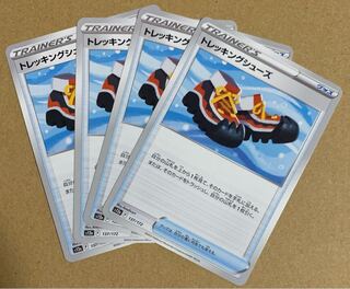 Trekking shoes 137/172