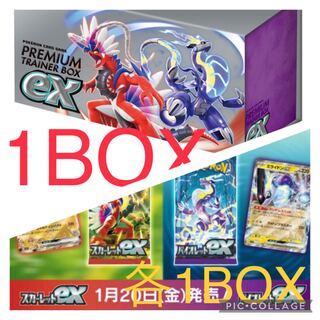 【🦐不明】スカーレット　バイオレット　プレミアムトレーナーボックスex 各1BOX