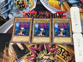 ハイ・プリーステス TP10 1 ノーマル 3枚セット てら