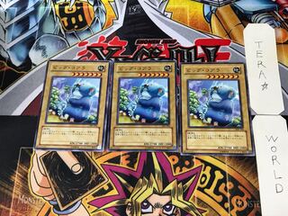 ビッグ・コアラ 306 1 ノーマル 3枚セット てら