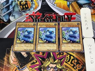 ビッグ・コアラ 306 5 ノーマル 3枚セット てら