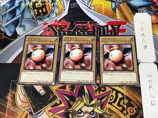 プチテンシ TP15 2 ノーマル 3枚セット てら