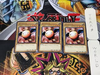 プチテンシ TP15 3 ノーマル 3枚セット てら