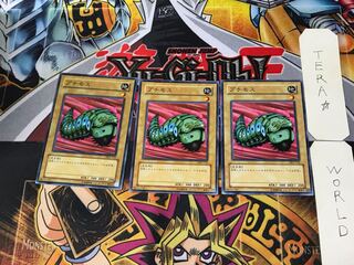 プチモス DL2 1 ノーマル 3枚セット てら