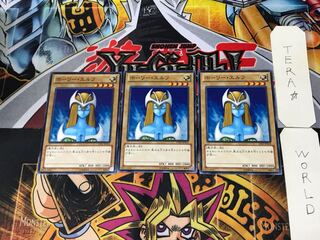 Mystical Elf 15AY 1 Normal, set of 3 Tera.