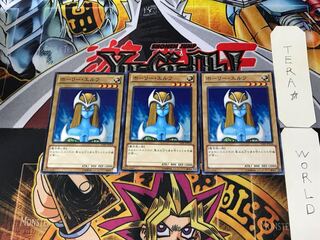 Mystical Elf 15AY 2 Normal, set of 3 Tera.