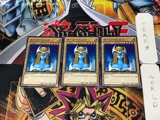 Mystical Elf 15AY 3 Normal Set of 3 Tera