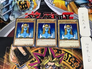 Mystical Elf 15AY 4 Normal Set of 3 Tera.