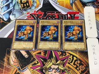 Mad Dog of Darkness 307 2 Normal, set of 3 Tera.