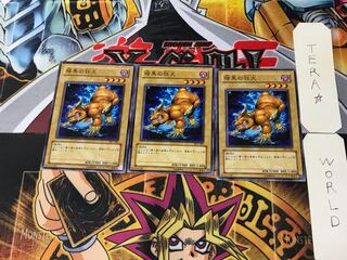 Mad Dog of Darkness 307 3 Normal, set of 3 Tera.