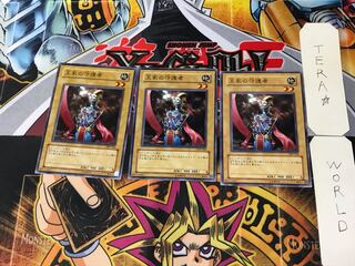 王家の守護者 309 1 ノーマル 3枚セット てら