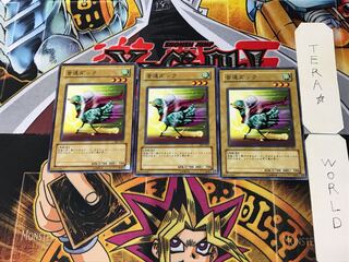 音速ダック 303 3 ノーマル 3枚セット てら