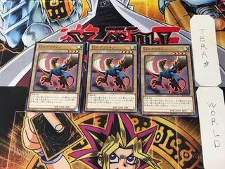 Phantom Gryphon CROS 5 Normal, set of 3 Tera.