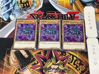 Mystery Shell Dragon ST17 2 Normal, set of 3 Tera