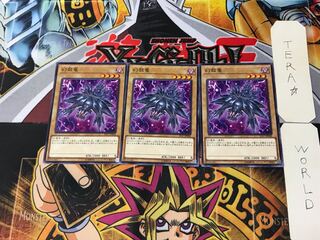 Mystery Shell Dragon ST17 3 Normal, set of 3 Tera