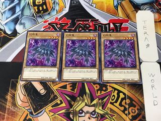 Mystery Shell Dragon ST17 4 Normal, set of 3 Tera