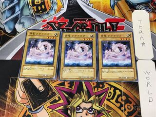 Divine Dragon Ragnarok EE3 1 Normal Set of 3 Tera.