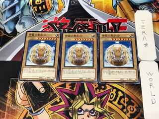 神龍の聖刻印 GAOV 5 ノーマル 3枚セット てら