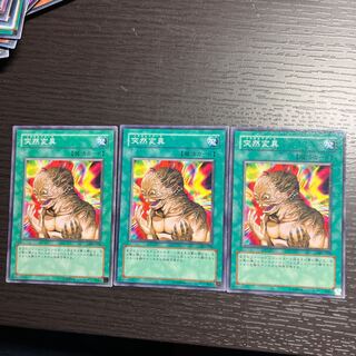 Metamorphosis Normal