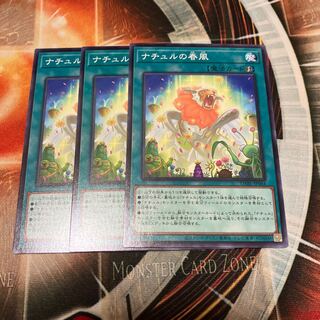 ナチュルの春風 ノーマル JP064 3枚 3枚