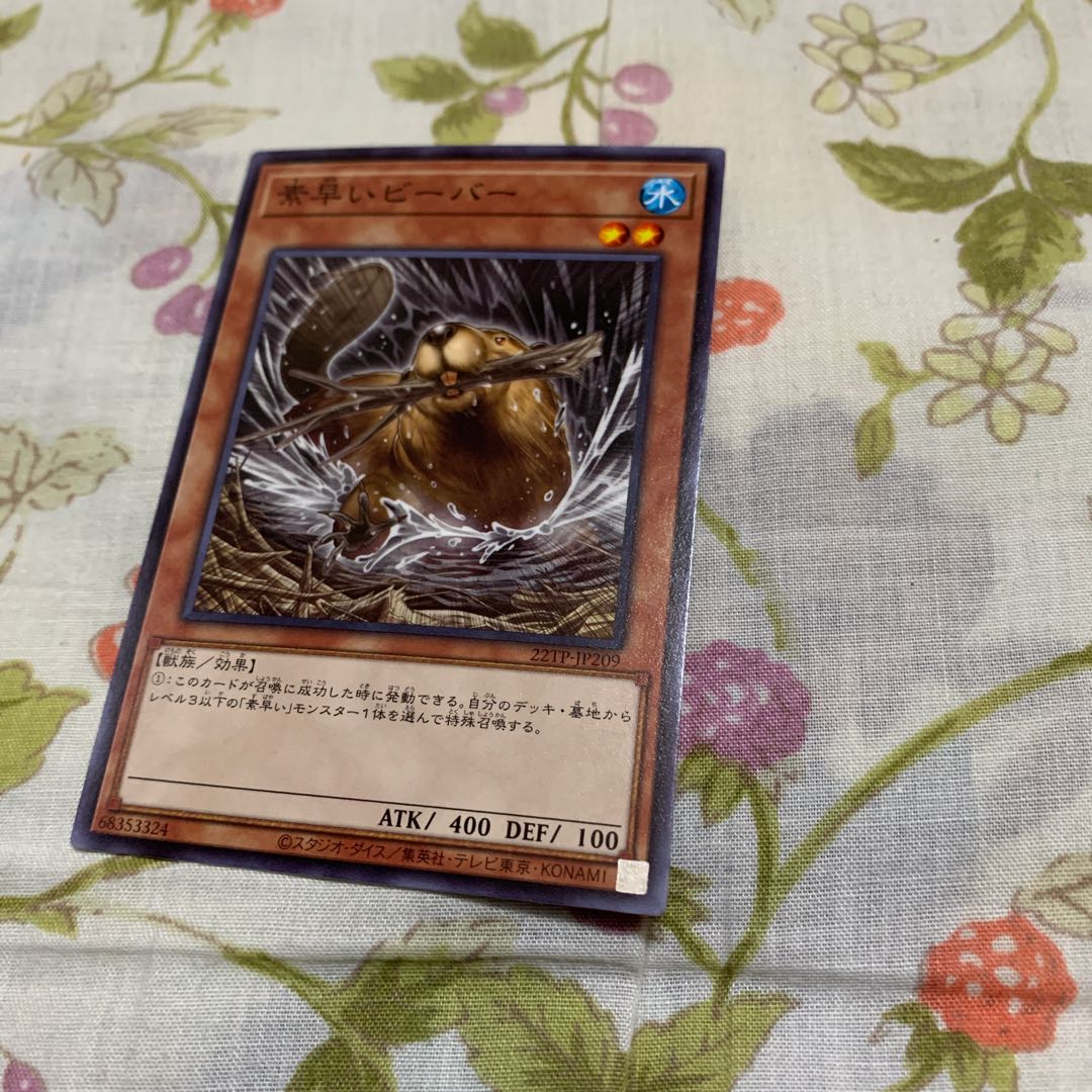 Nimble Beaver Normal 111