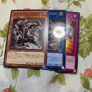 Ninja Grandmaster Hanzo 118