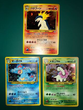 Typhlosion Feraligatr Meganium Set Old Back