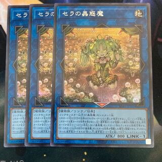 Traptrix Sera Secret Rare 3 copies